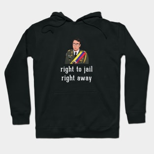 Right to jail, right away Hoodie